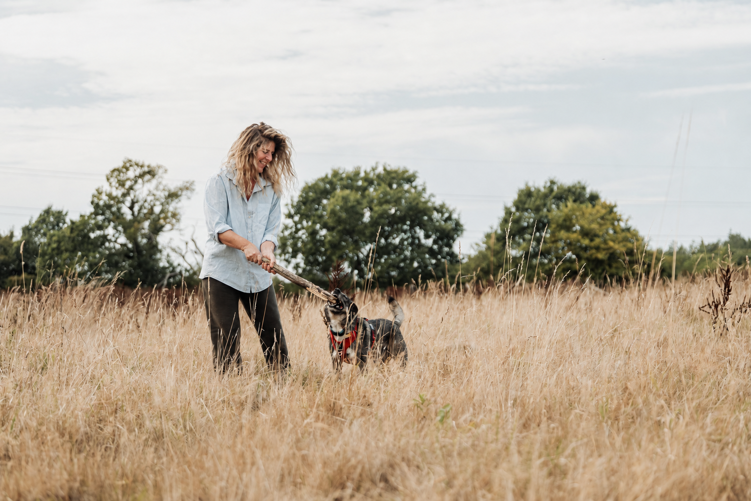 Laura playing tug with a dog in a meadow