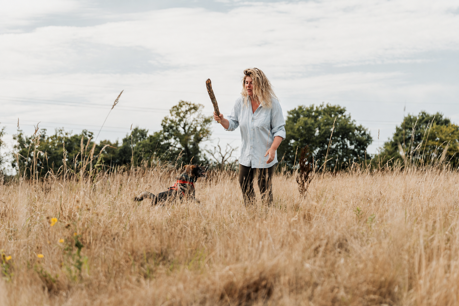 A dog working in long grass while Laura directs a scent session